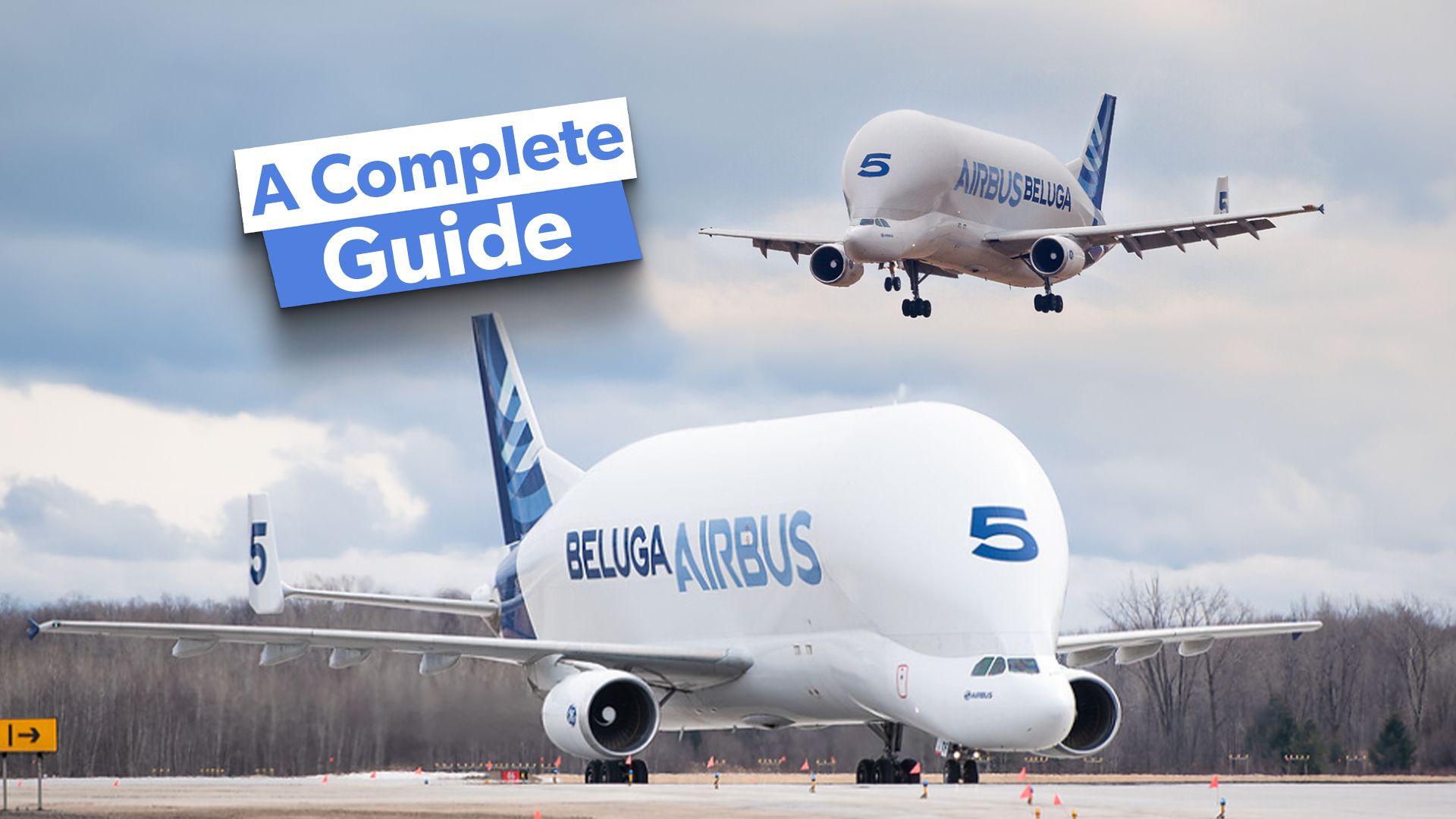 Airbus Beluga Transport Everything You Need To Know