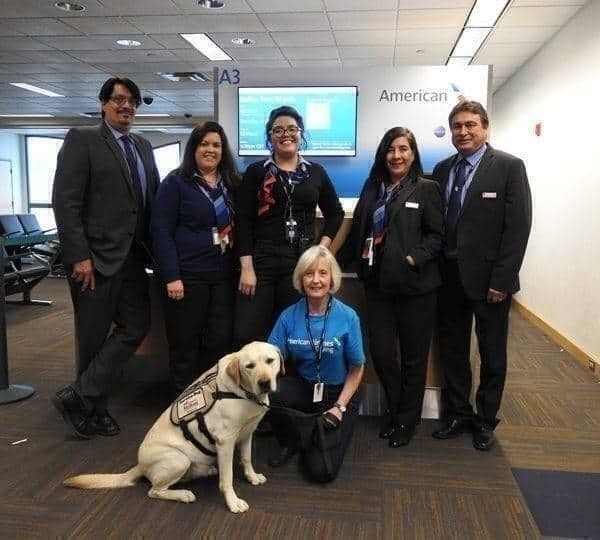 Which US Airlines Allow Dogs & Should More Airlines Allow Dogs On Flights?