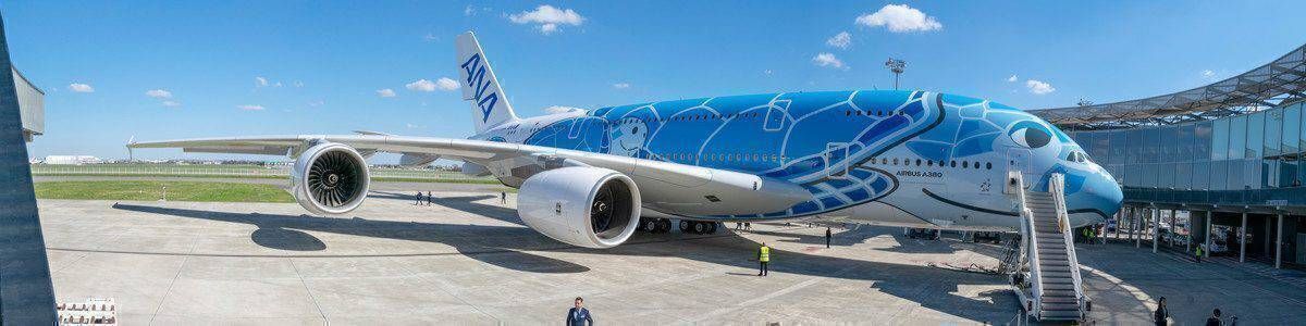 ANA Blue Airbus A380
