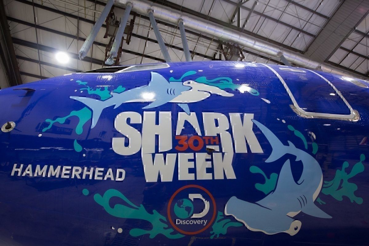 Southwest Shark Week