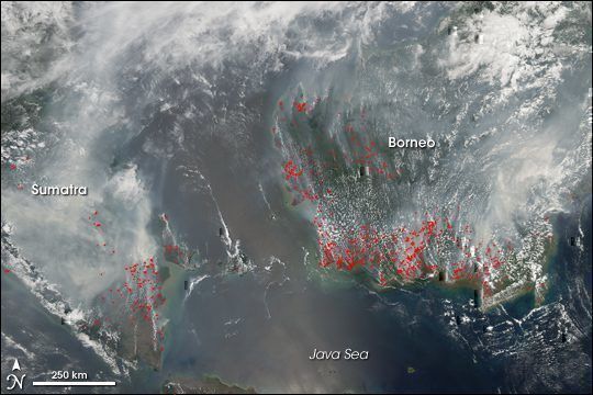 indonesia-forest-fires-cancellations