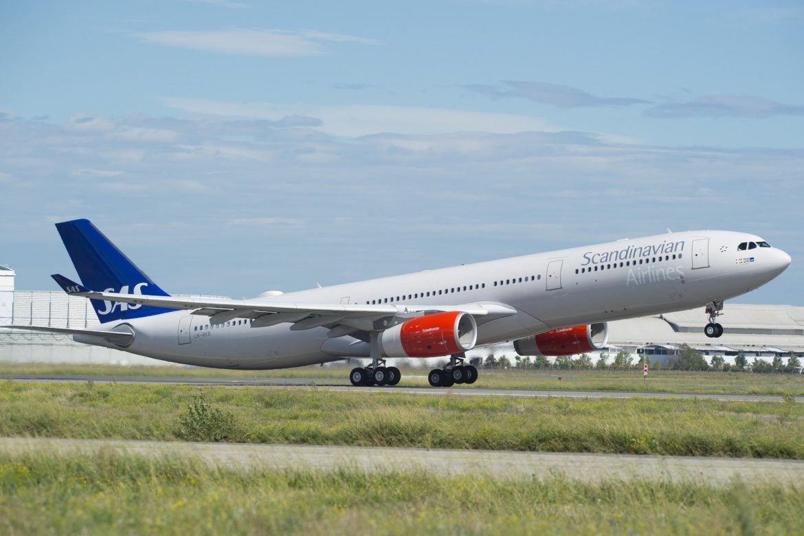 SAS, Airbus A330, Bird Strike