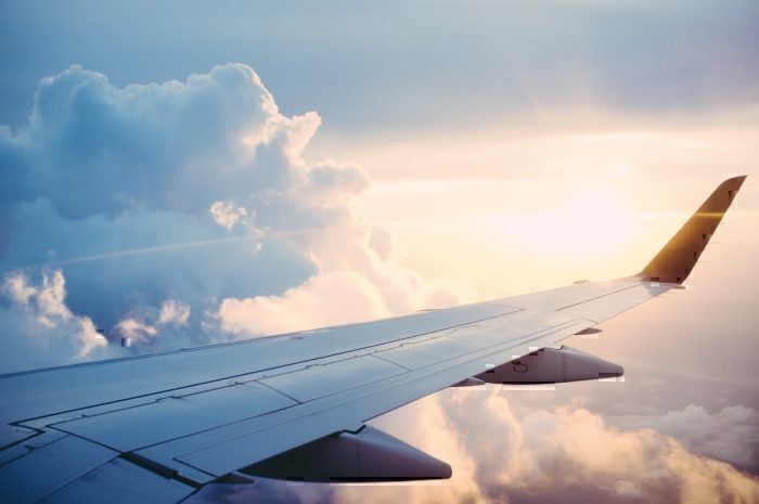 Flight Shaming, IATA, Aviation Emissions