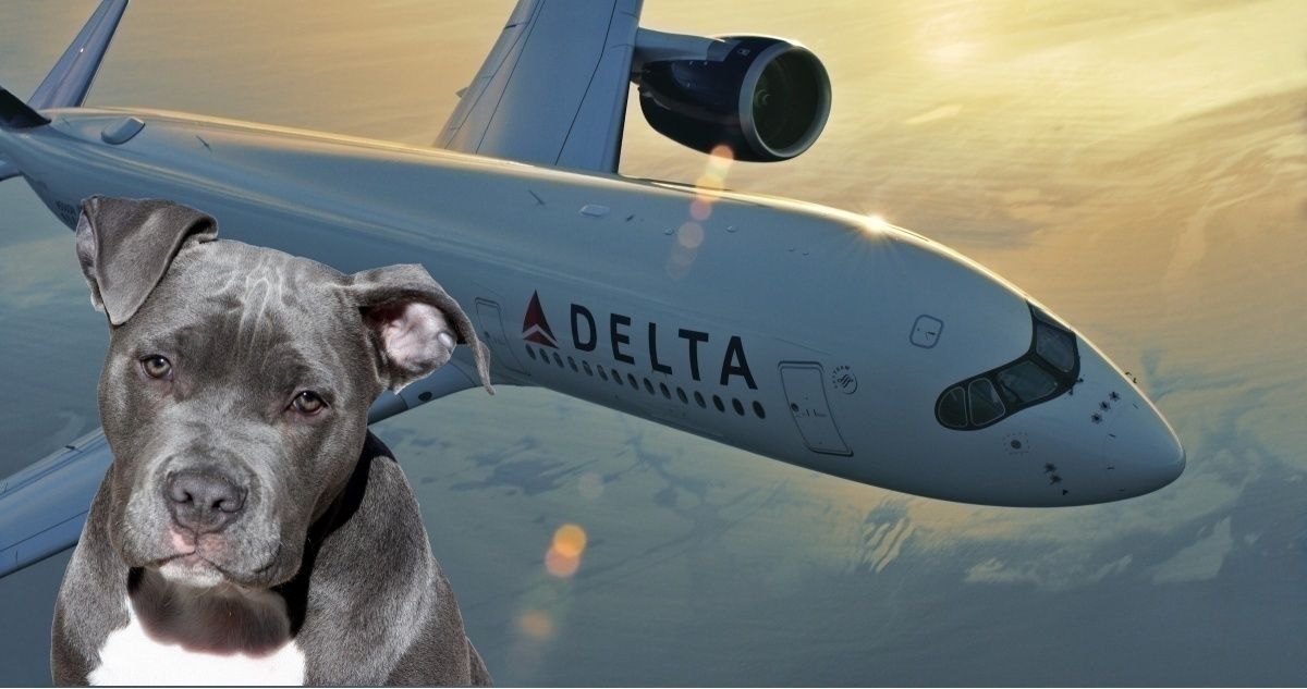 Delta pit bull