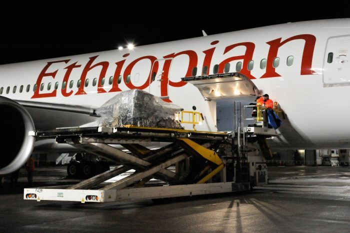 Ethiopian Airlines 787 Aid