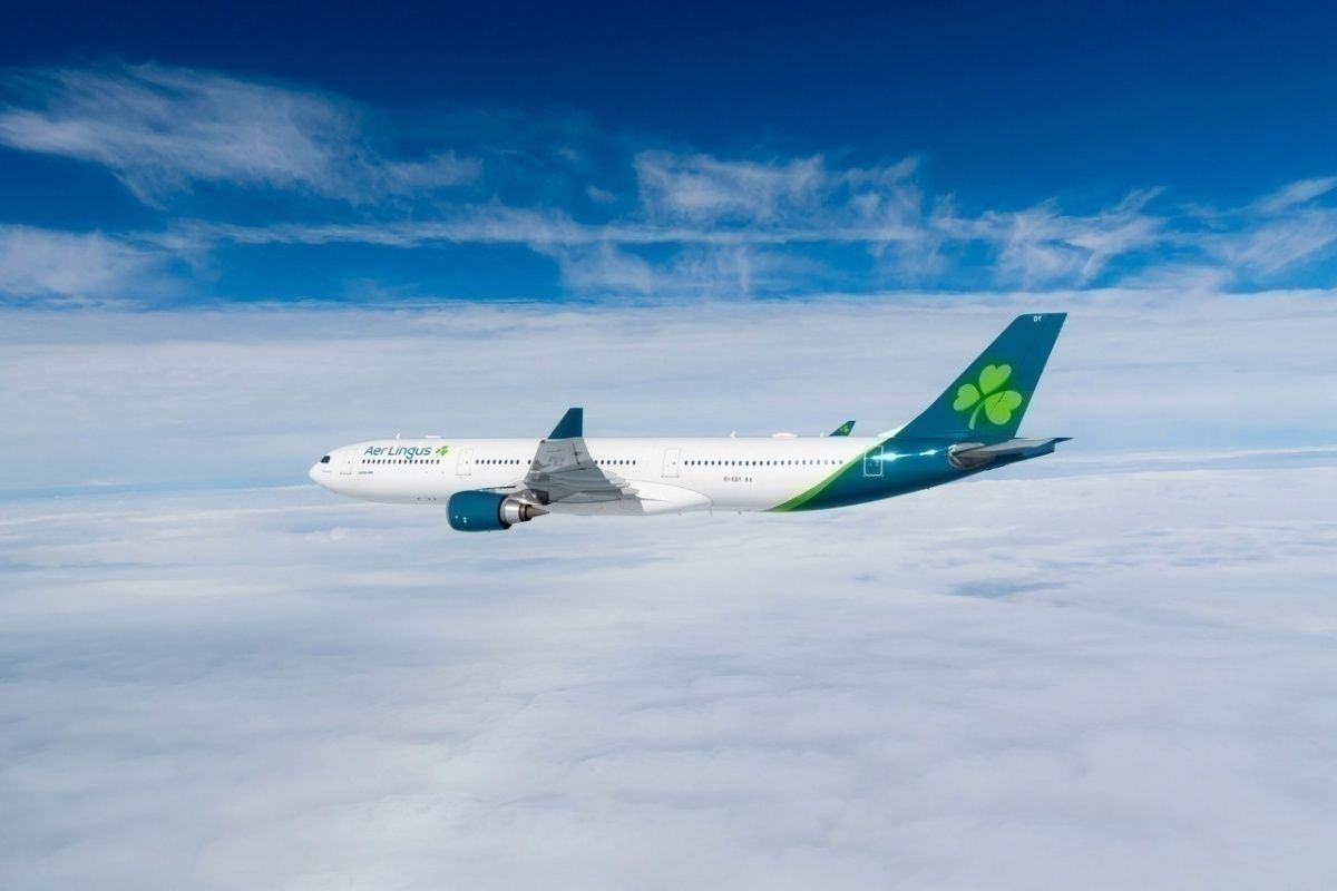 Aer Lingus, Airbus A330, Bird Strike