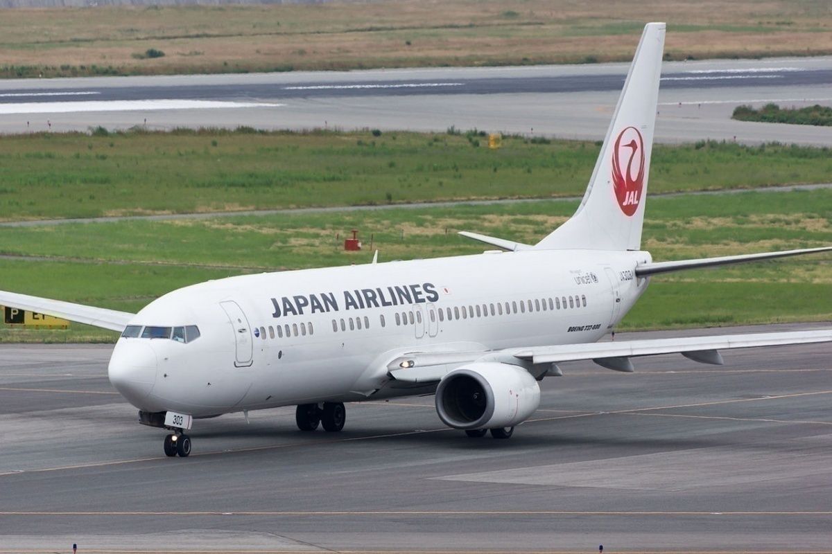 japan-airlines-737-jolt