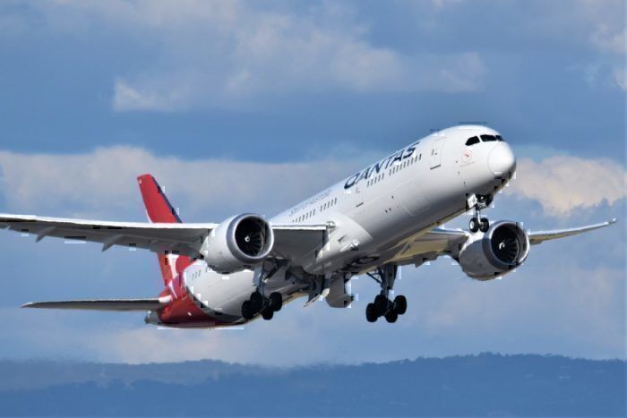 Qantas-1-year-suspension