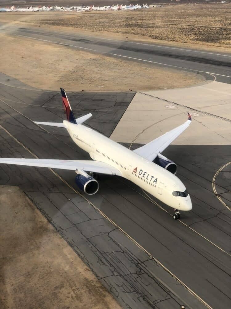 Delta plane from above