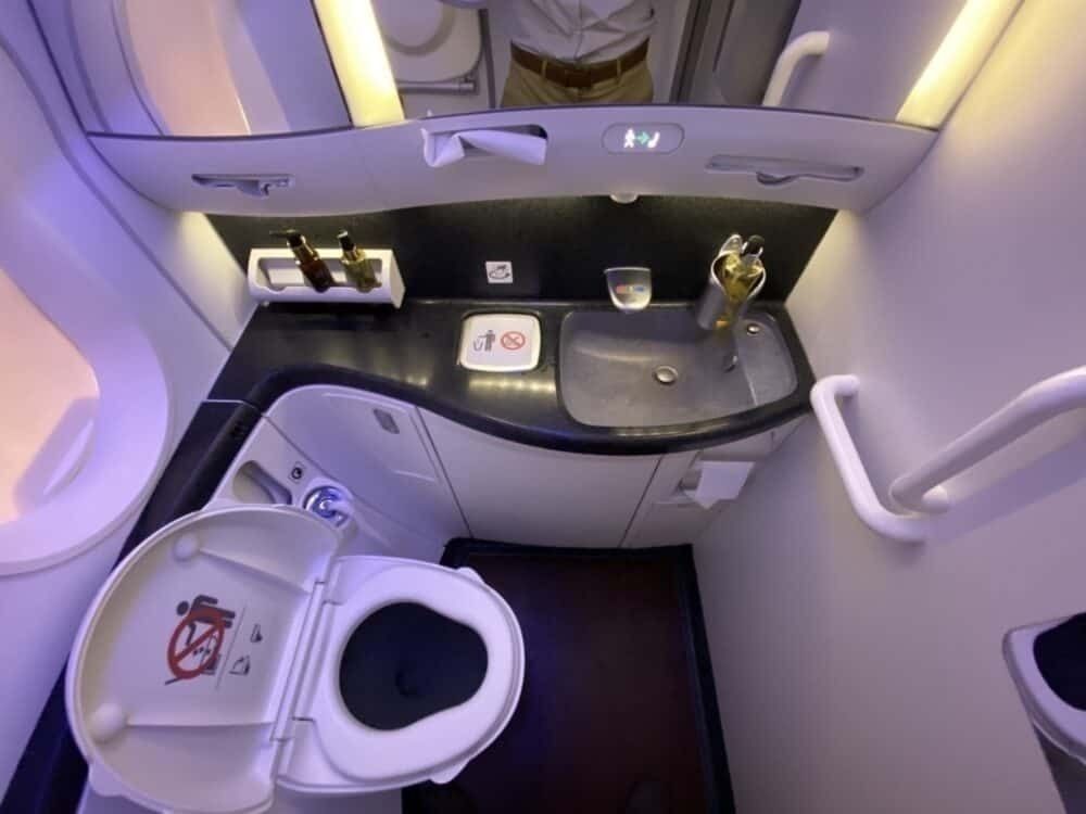 Qatar 787 toilet