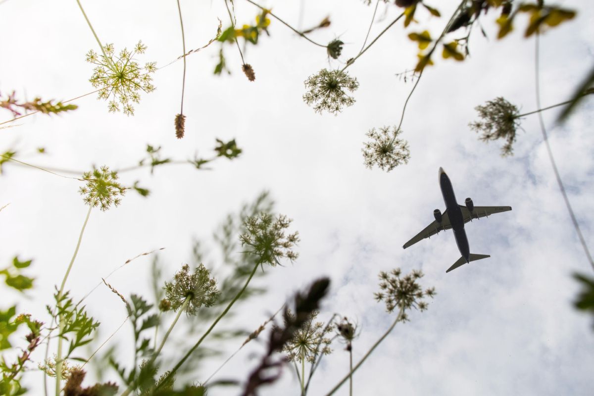 Plane flies above meadow in stansted