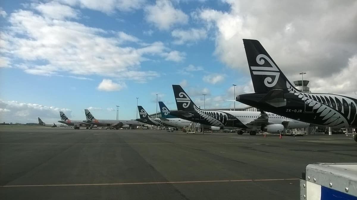 Air New Zealand Plans Domestic 787 Dreamliner Flights