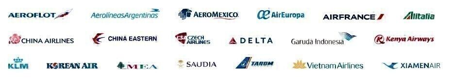 Airline Alliances: What Are They & What Are The Benefits?