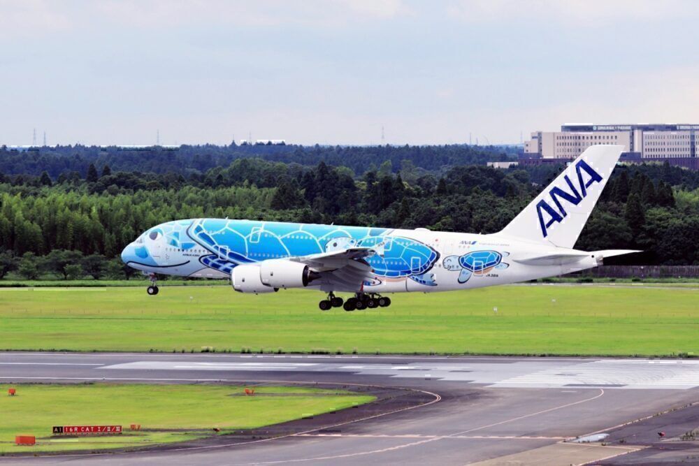 ANA Flying Honu A380