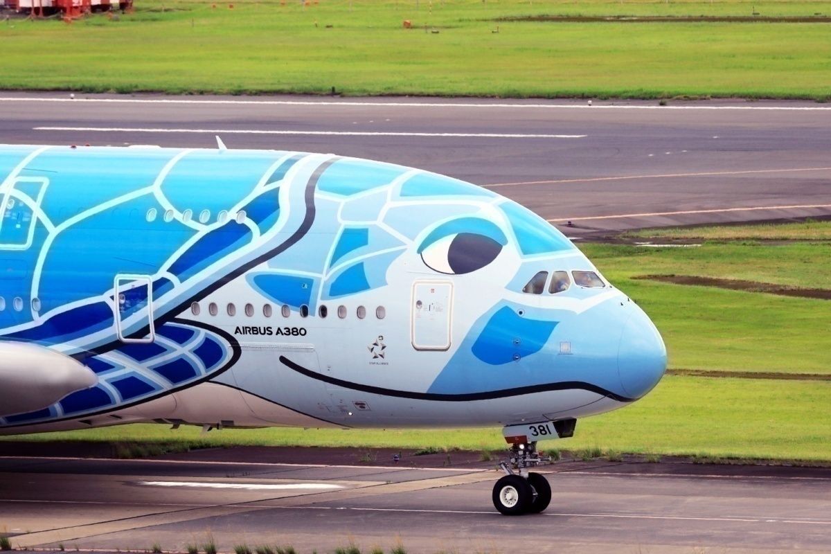 ANA Flying Honu Sky Blue A380