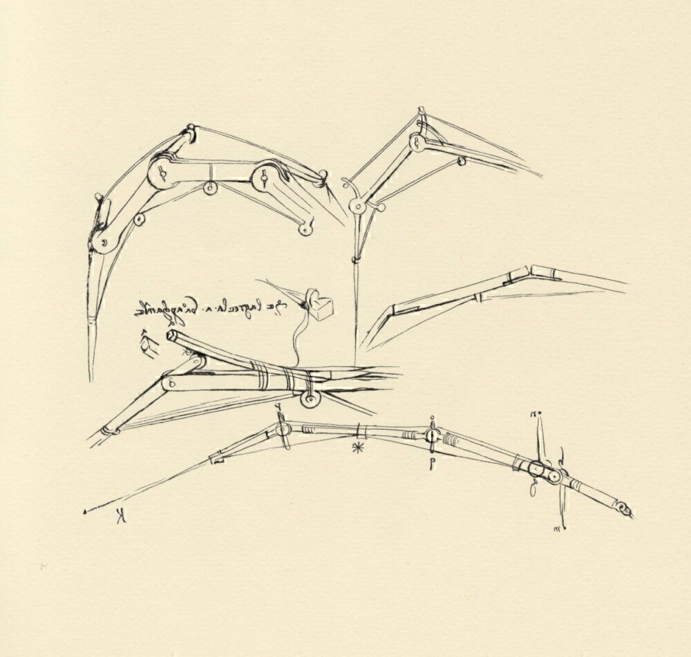 Da Vinci sketch