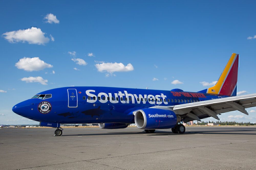 Southwest-boeing-737-bird-strike