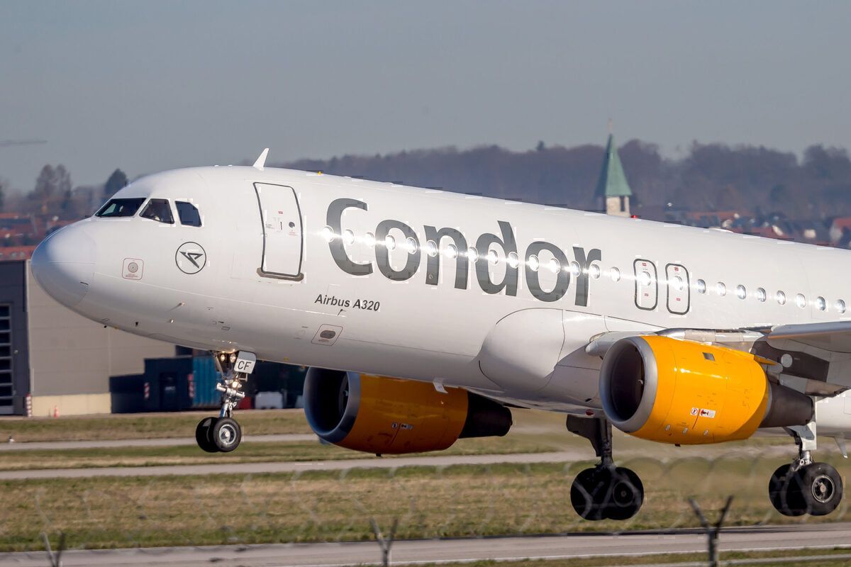 Condor exits proceedings healthy company