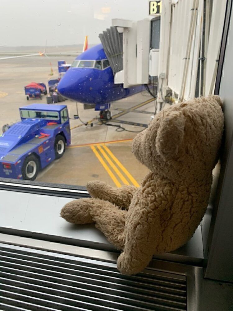 Southwest Airlines Teddy Bear &amp; Boeing 737 Baltimore