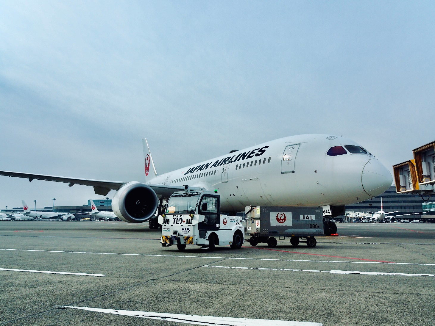 787 Japan Airlines