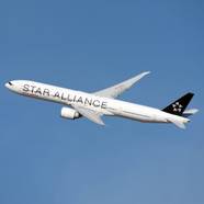 Which Airline Alliance Has The Most Planes 