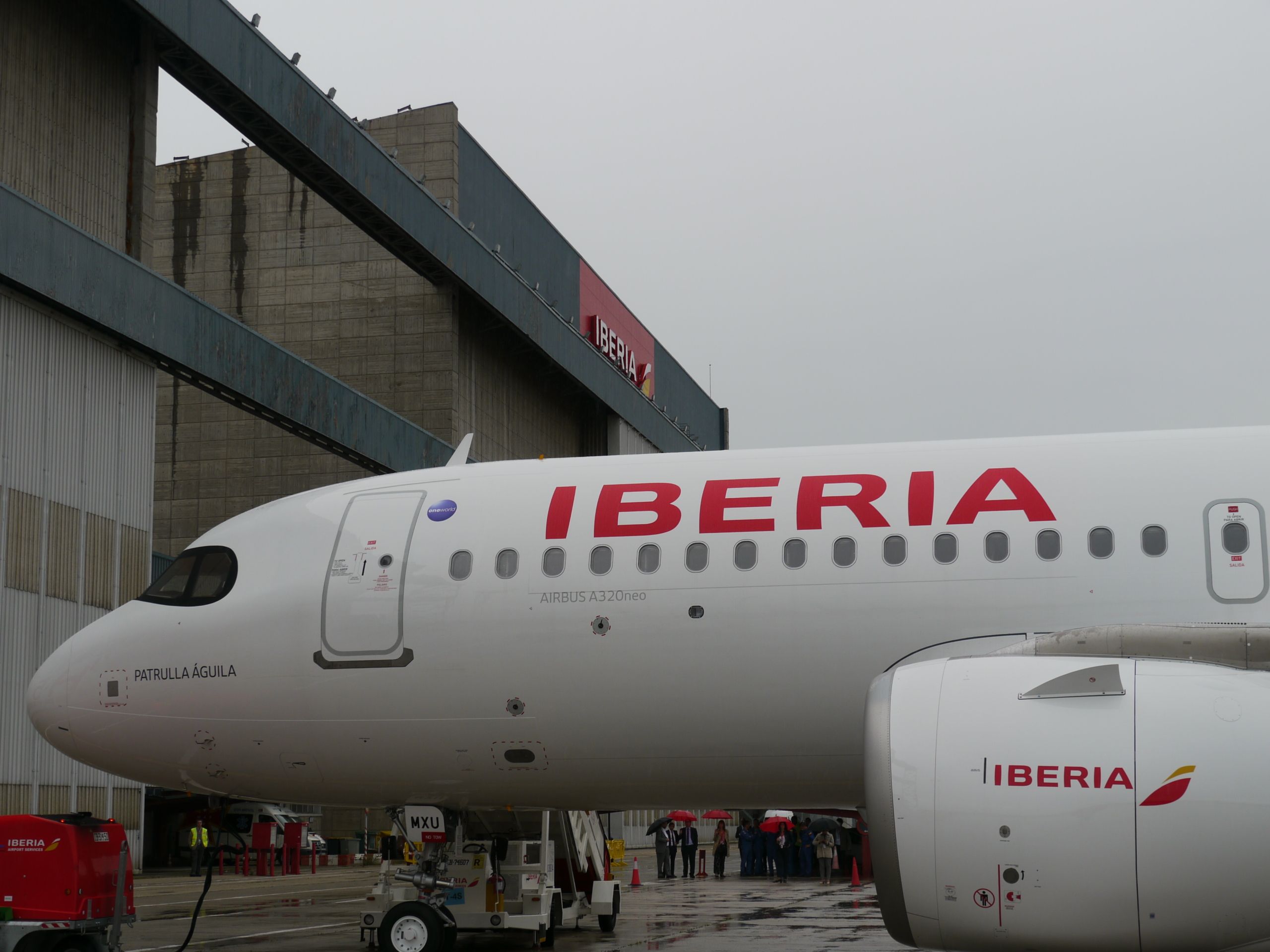 Baggage in the hold - Iberia USA