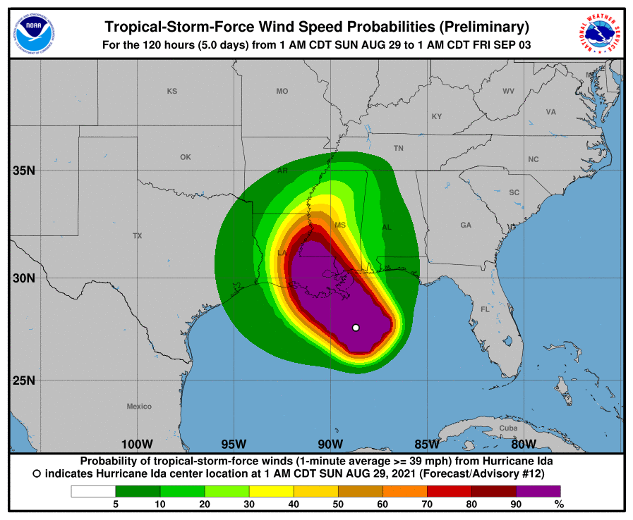 Hurricane Ida Impacts Gulf Coast Aviation