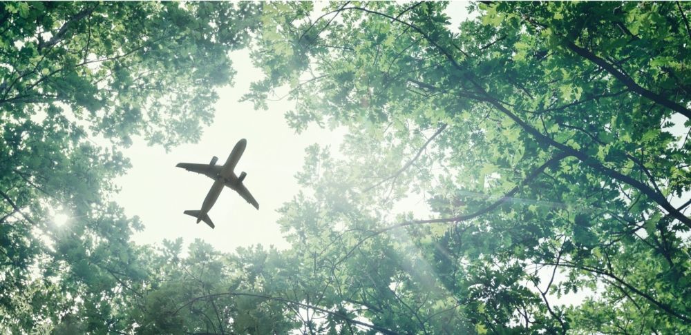 An Airbus Aircraft flying above trees.