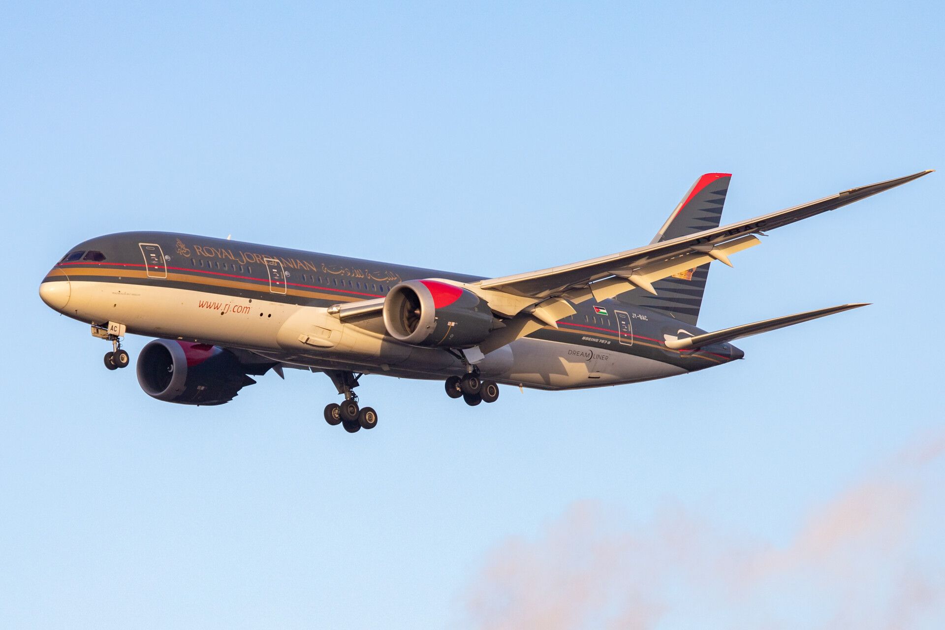 Royal deals jordanian 270