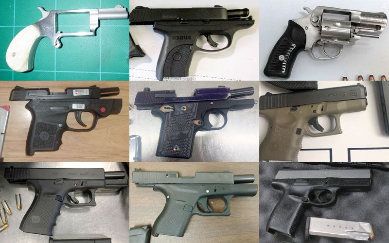 TSA guns