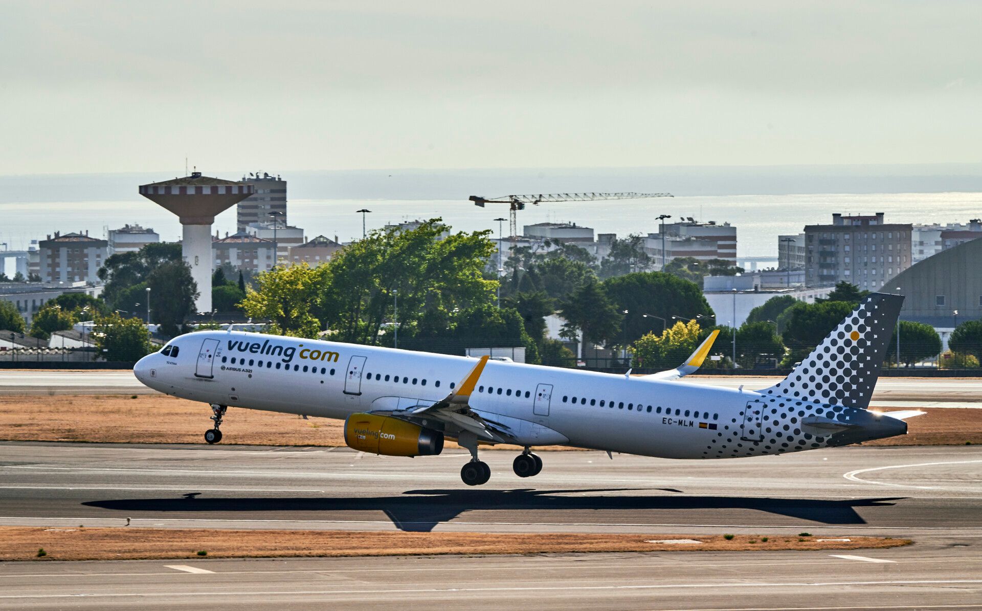 Vueling, IAG, Top Airline