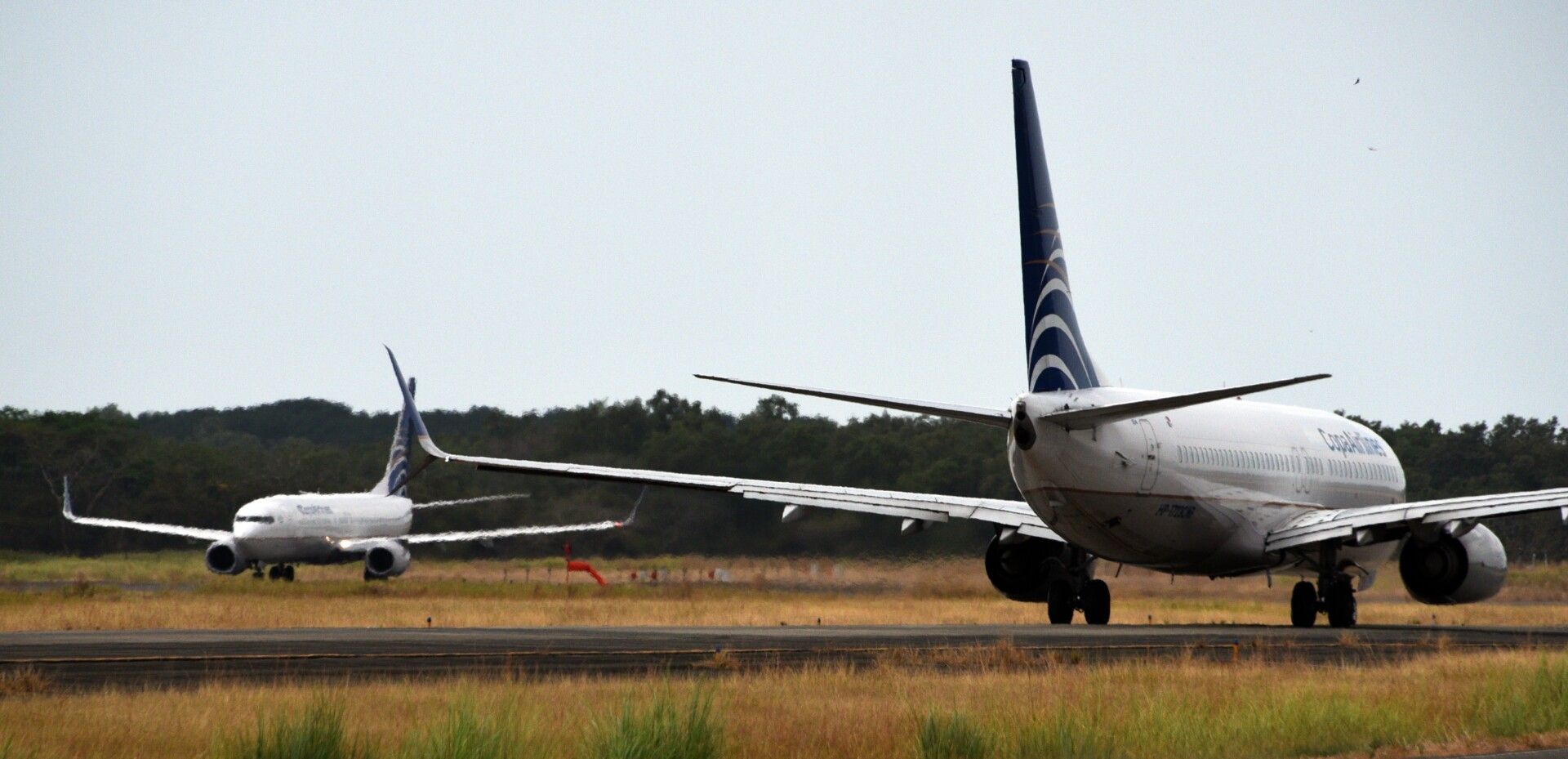 Copa Airlines' Rebound May Depend on a Latin American Turnaround