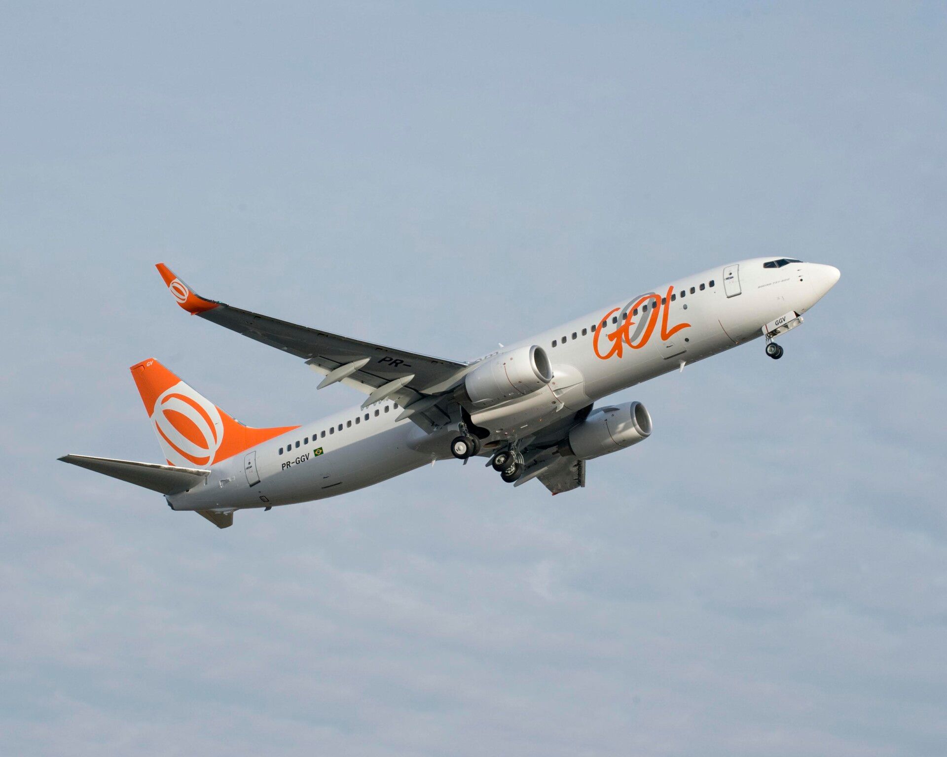 ブラジルGOL航空 Airlinertags ボーイング737-800 A GOL Boeing 737 Flight Has 2 Separate Bird Strikes