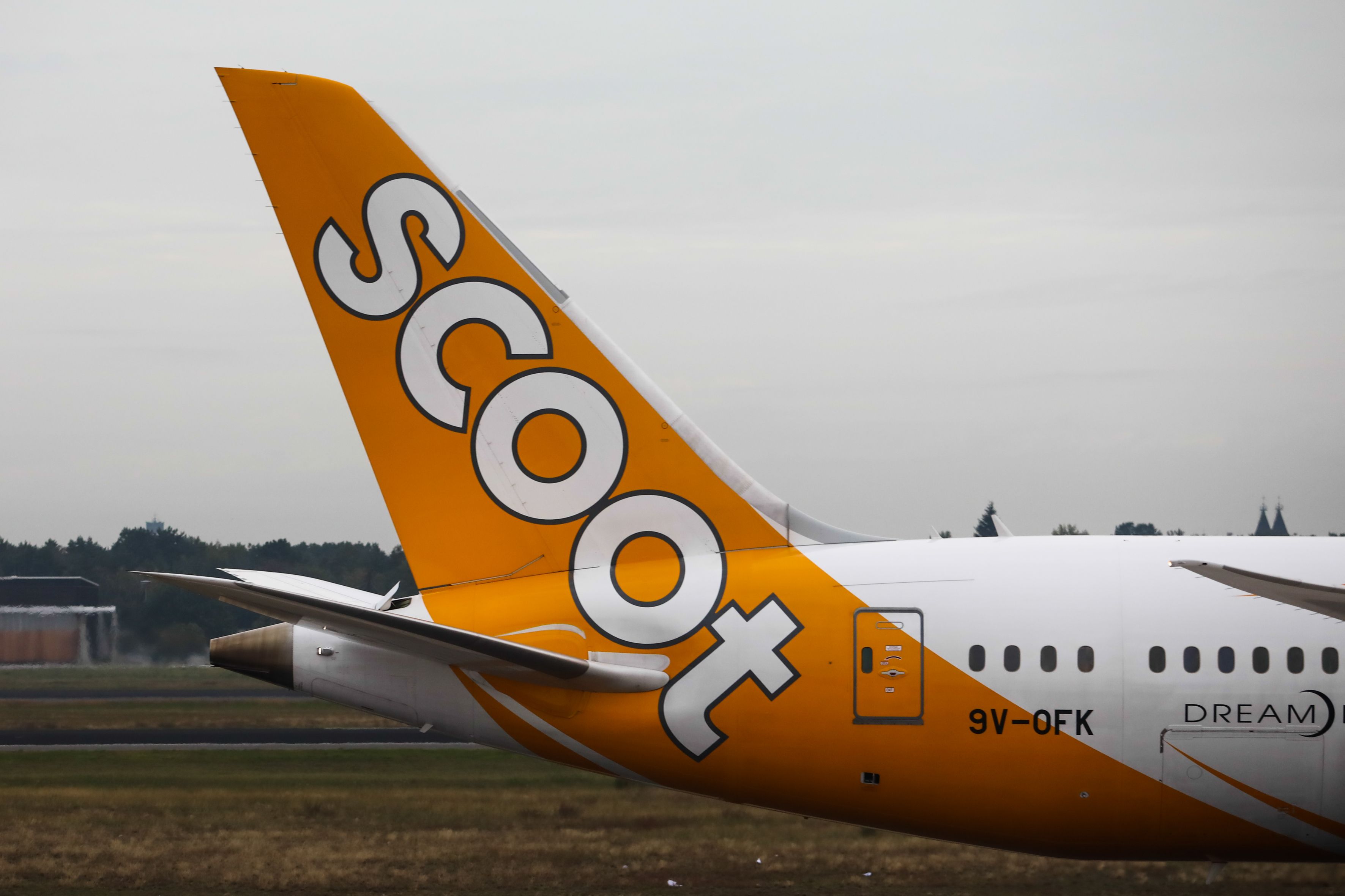 https://www.gettyimages.com.au/detail/news-photo/scoot-boeing-787-8-dreamliner-plane-is-seen-at-tegel-news-photo/1171578398?adppopup=true