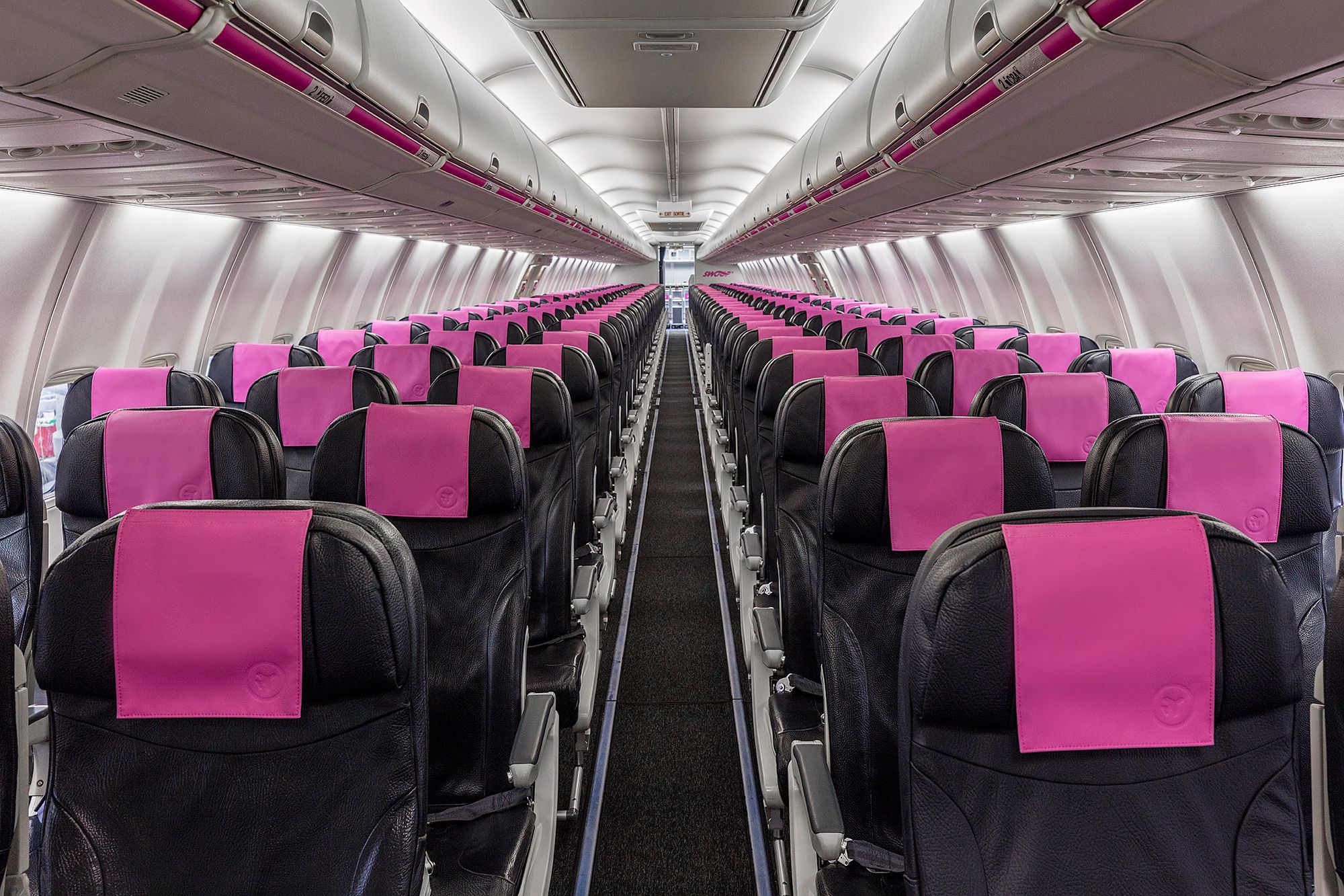 A swoop airlines cabin
