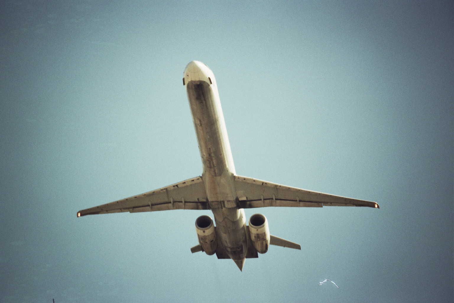 Viasa Flight 742: The Douglas DC-9’s Deadliest Accident