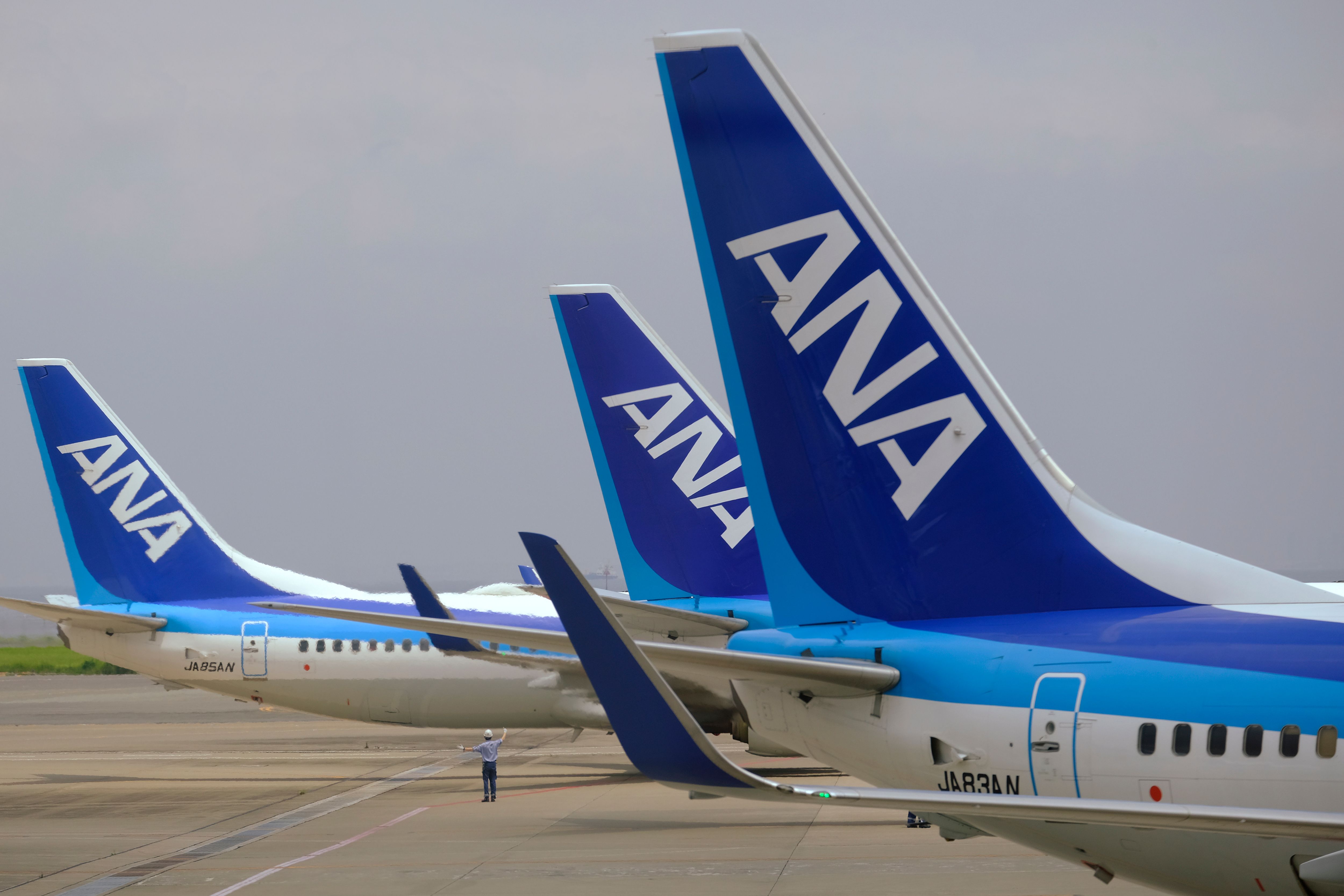 ANA aircraft tails lined up 