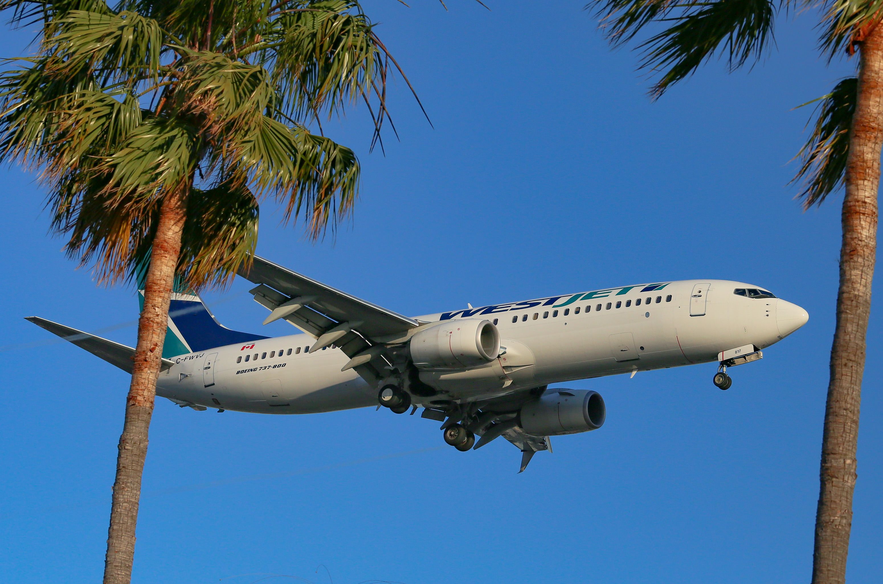 WestJet Getty Los Angeles