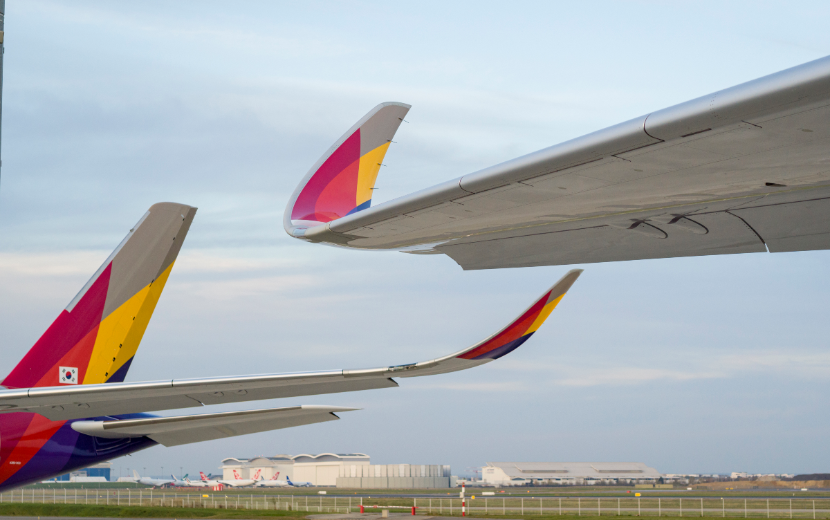 A350-900 Asiana Airlines Wingtips