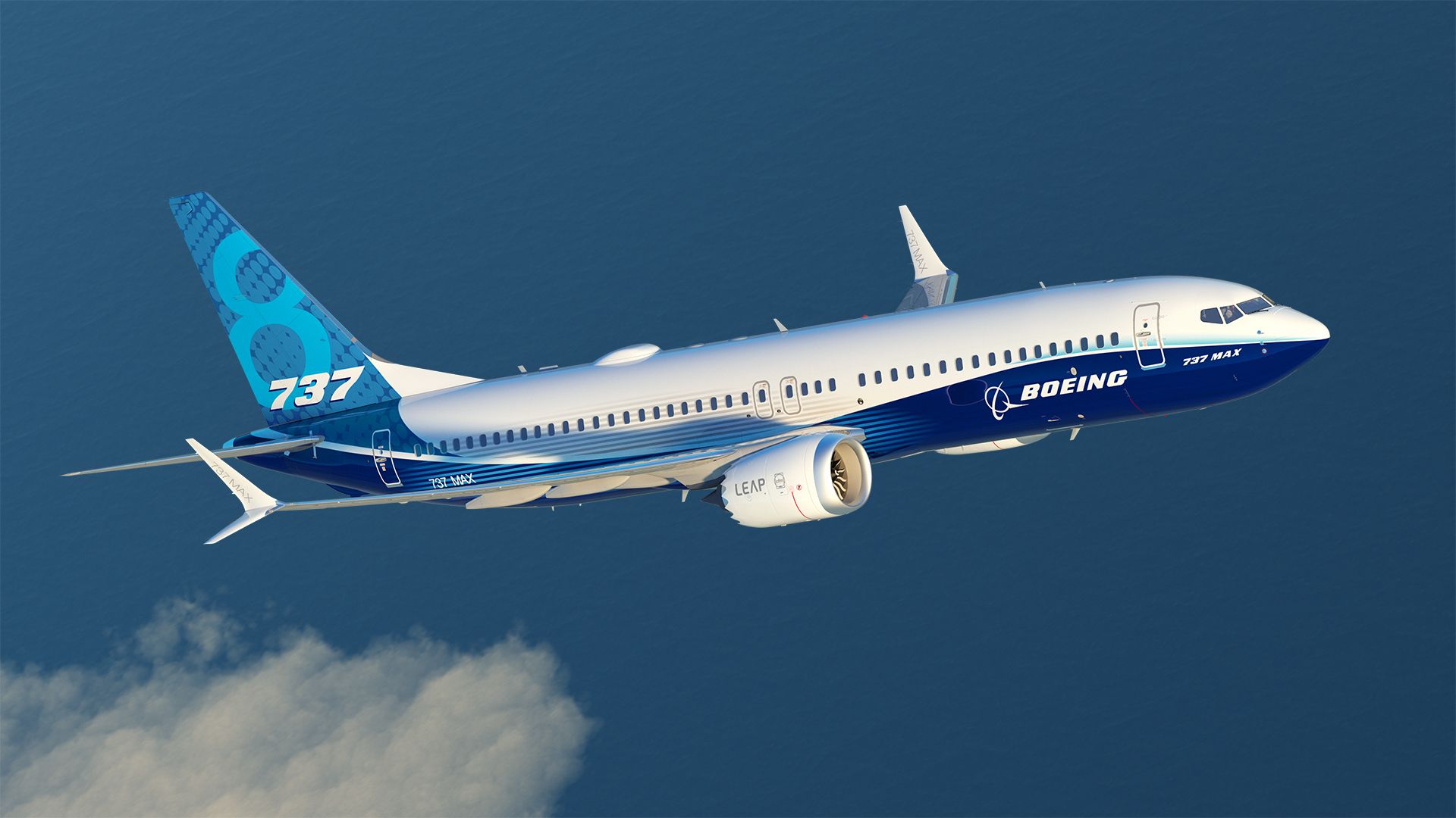 Boeing_737_MAX_8 (1)