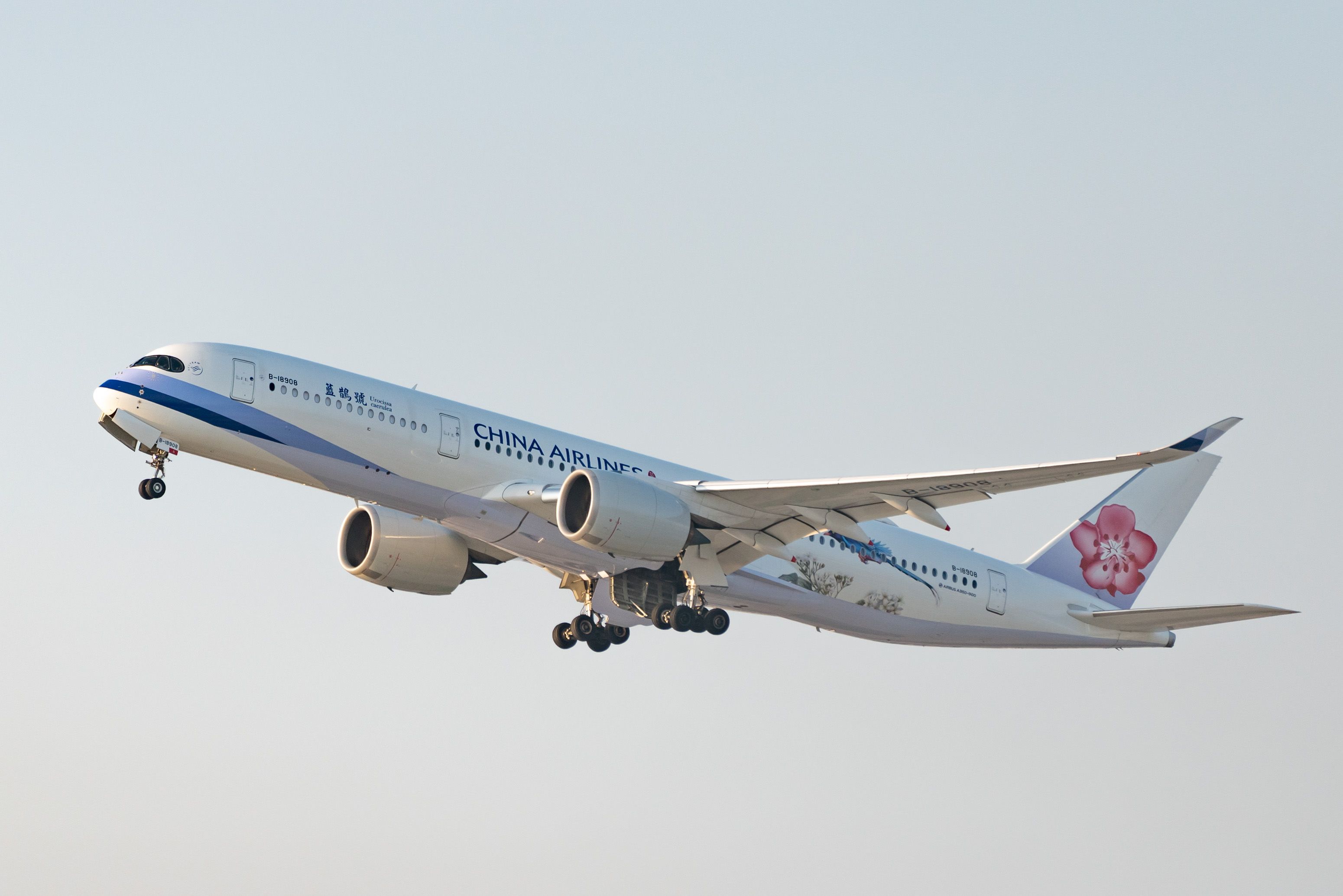 China Airlines A350 in the sky