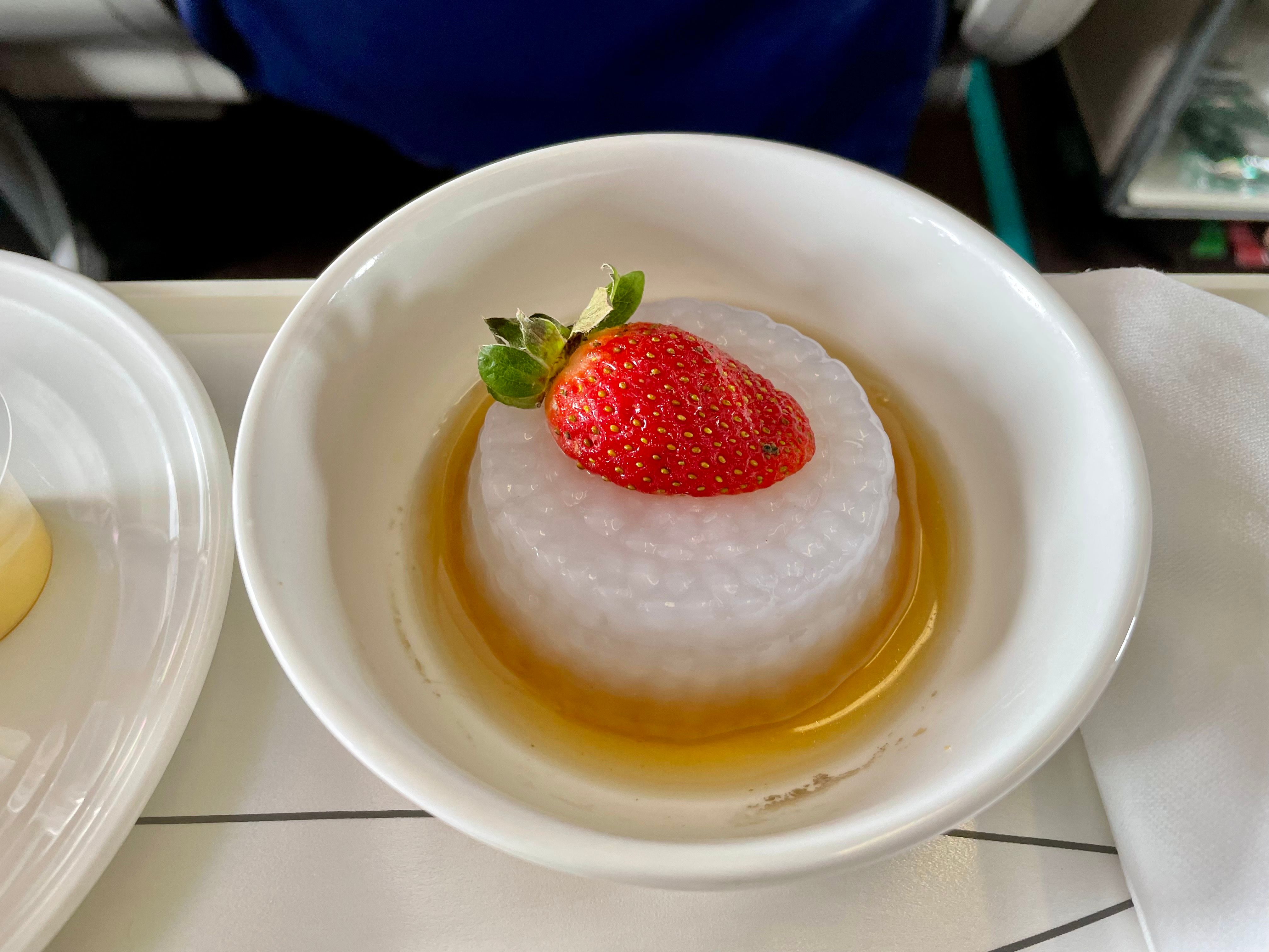 Malaysia Airlines 737 Dessert