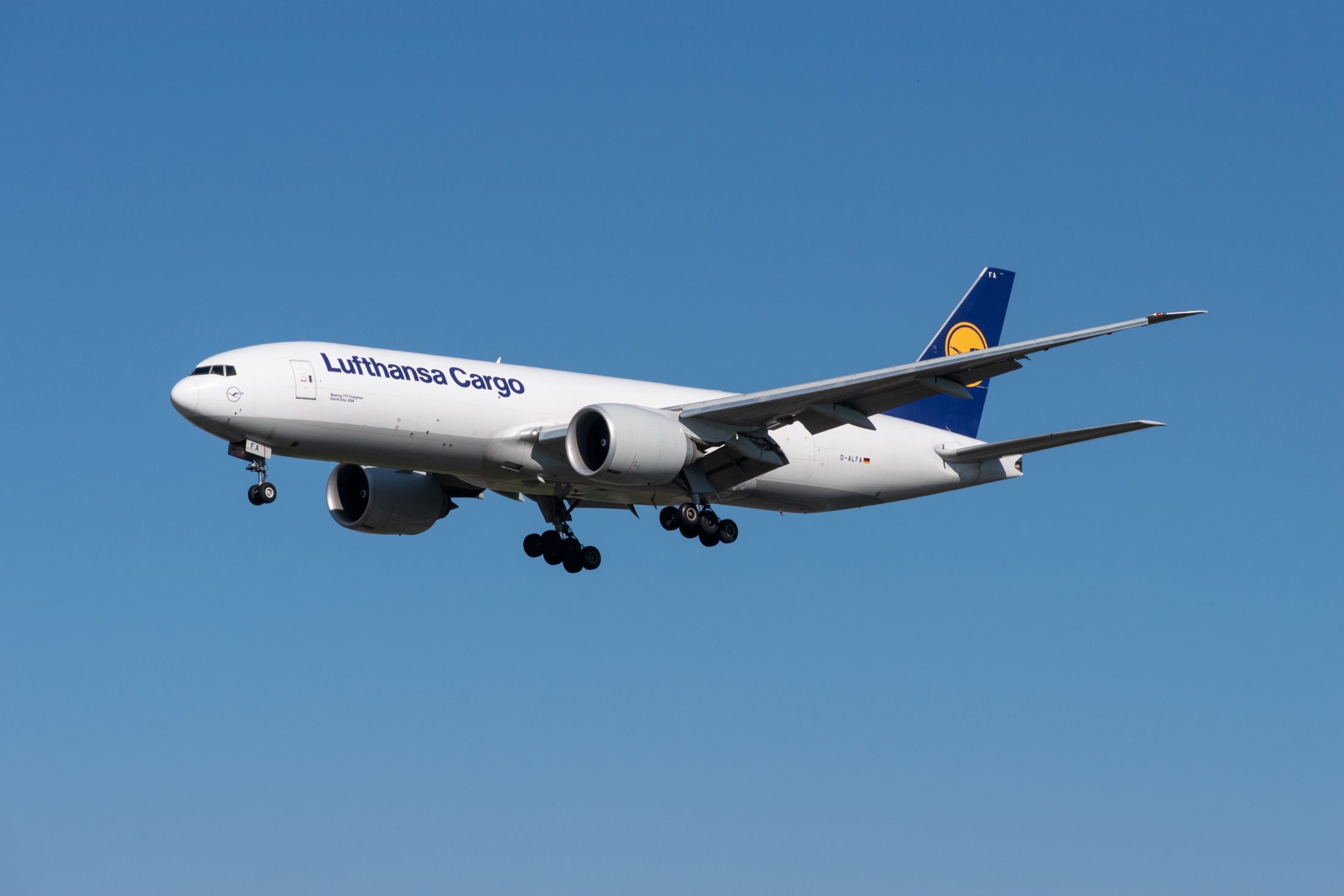 Lufthansa Cargo Flies 18 Wild Mustangs To Frankfurt