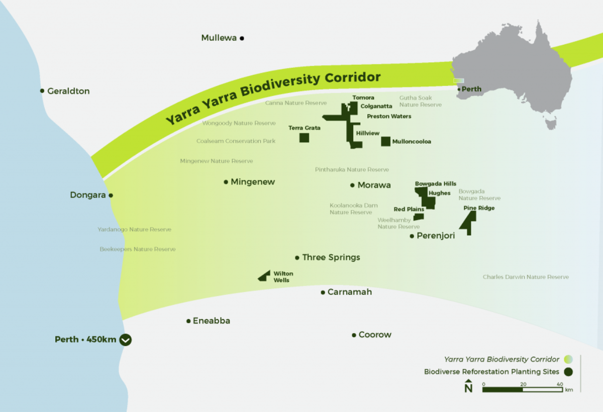 Yarra Yarra Biodiveristy Corridor Western Australia Perth Airport Carbon Neutral
