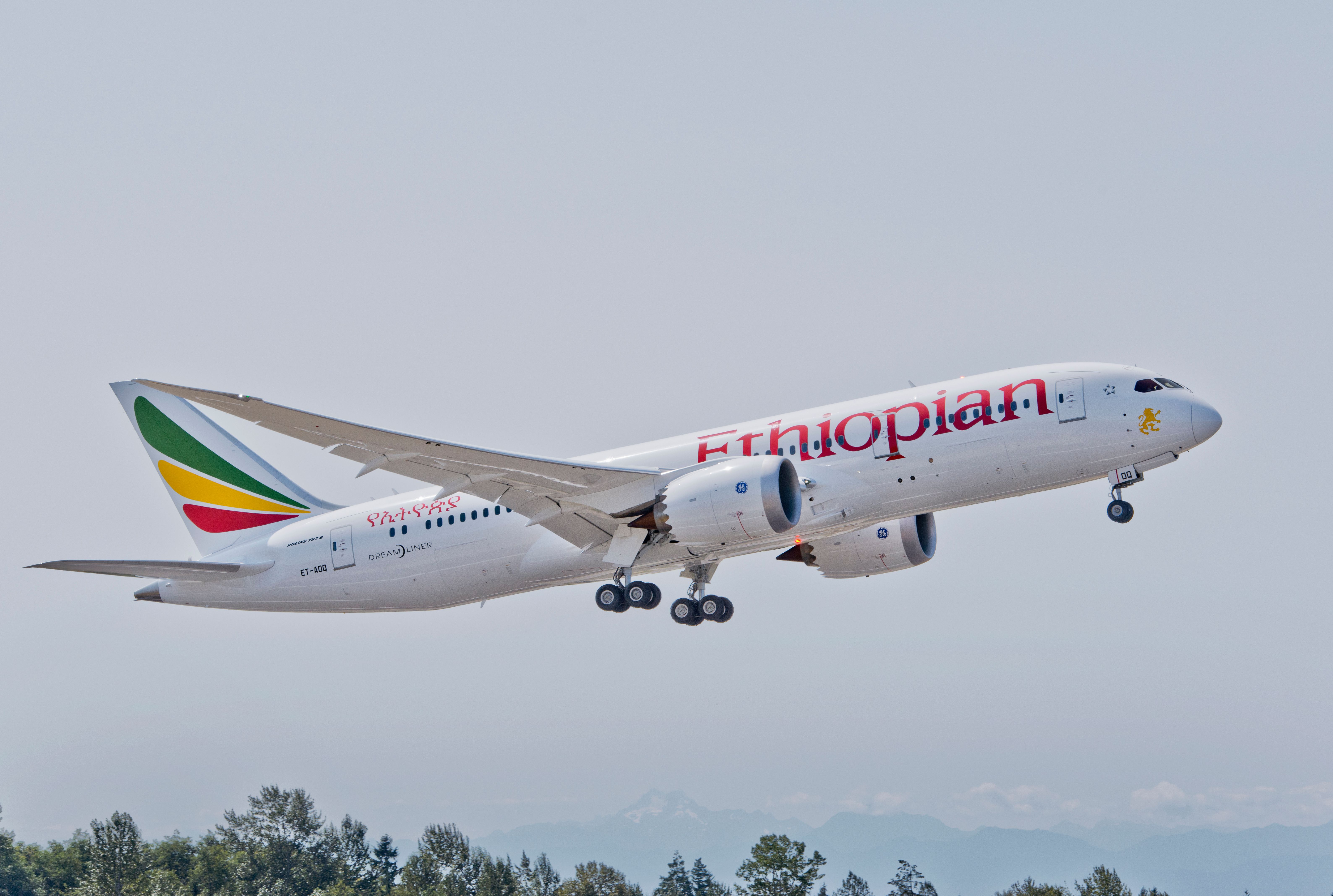 Ethiopian Airlines 787
