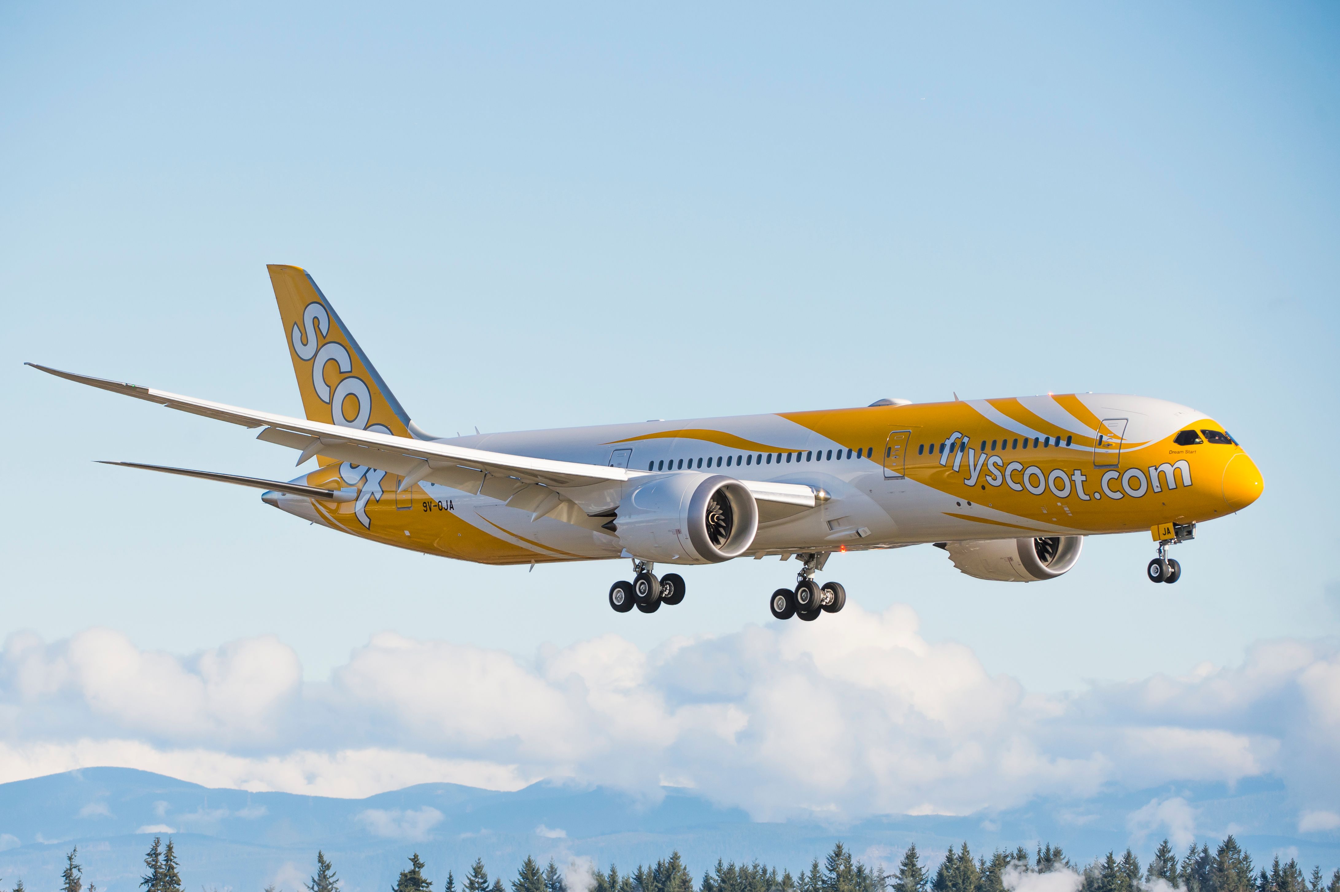 Scoot Boeing 787 coming in to land