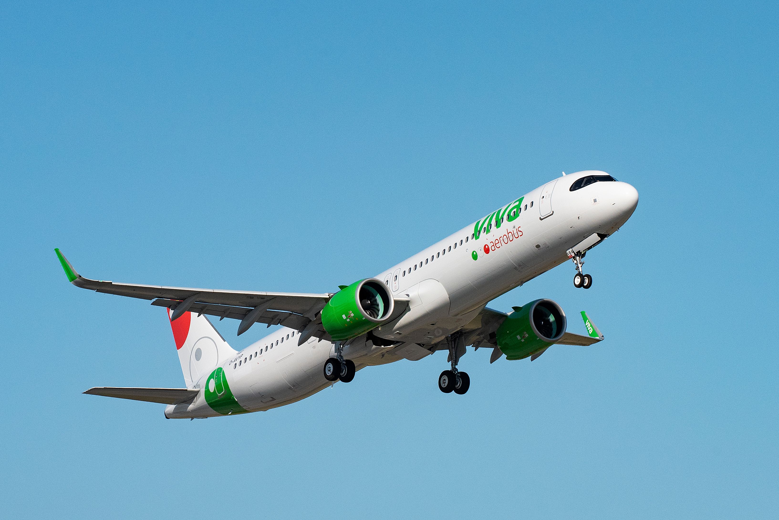 Viva Flight Status - 00ryy0j