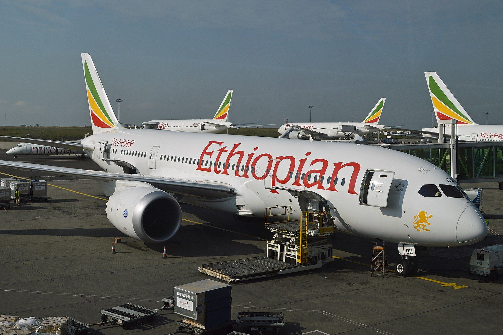 Boeing_787-8_Ethiopian_Airlines