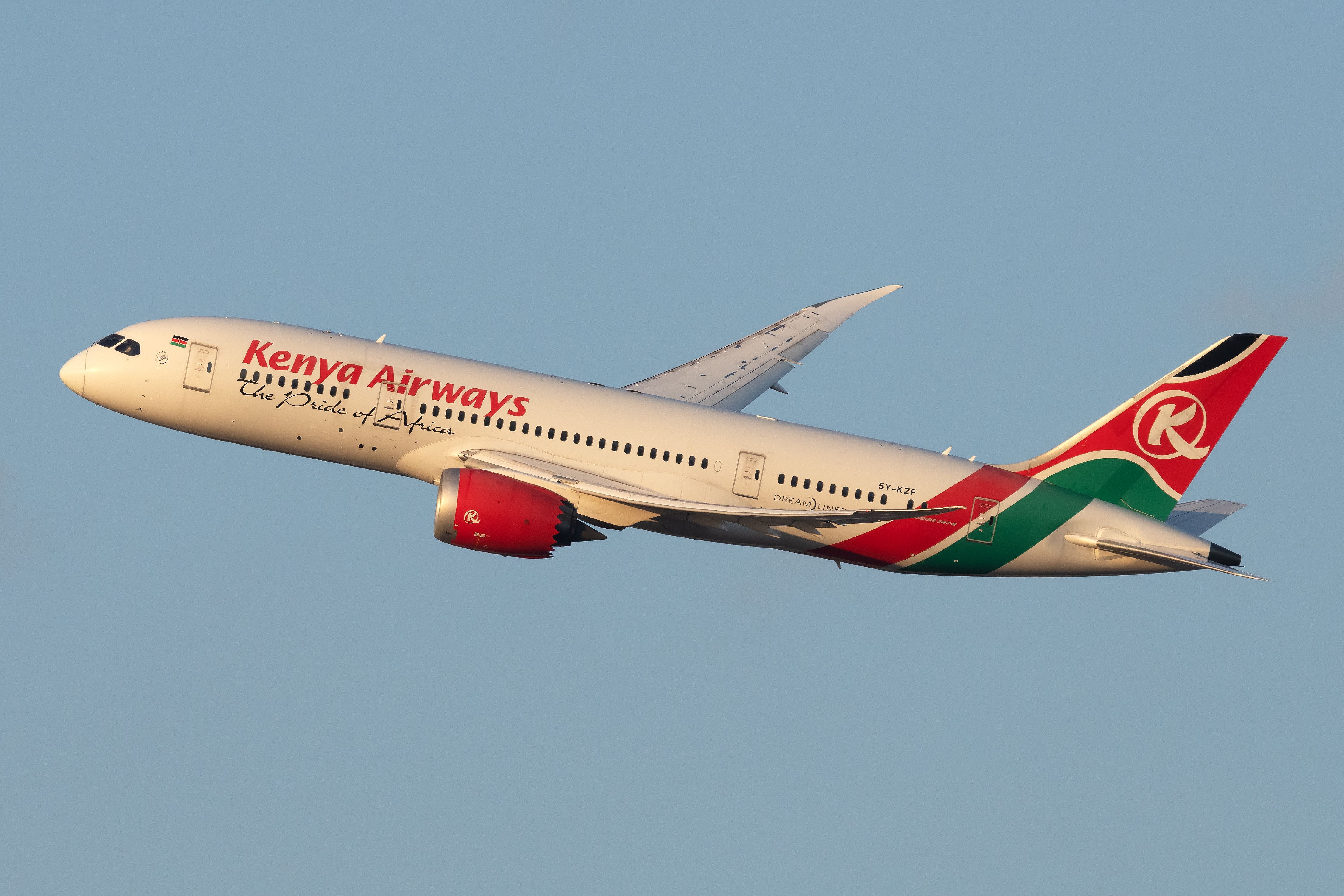 American Flight Status 75 - 5rieskl