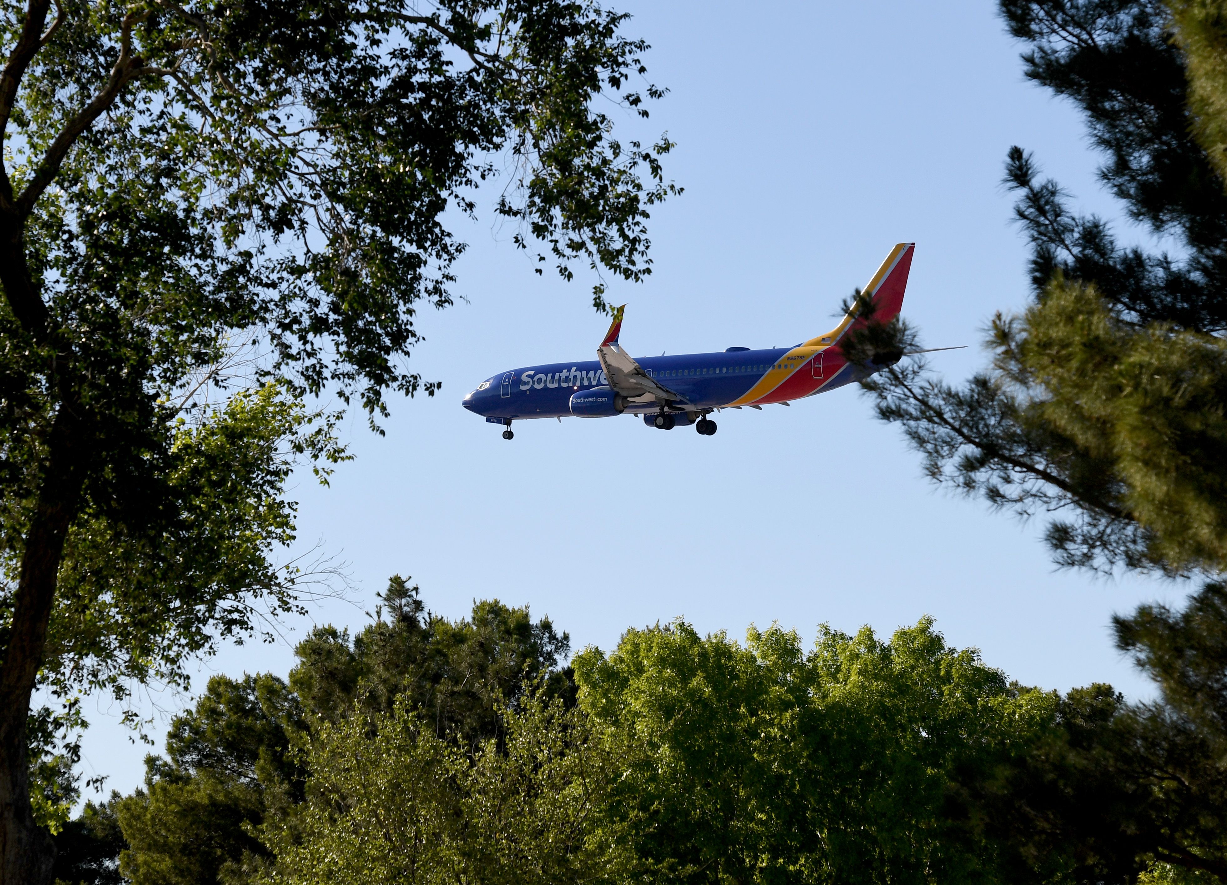 Southwest Boeing 737 seen through trees as it comes in for landing